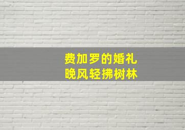 费加罗的婚礼 晚风轻拂树林